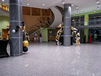 FAI BAL 2026 020